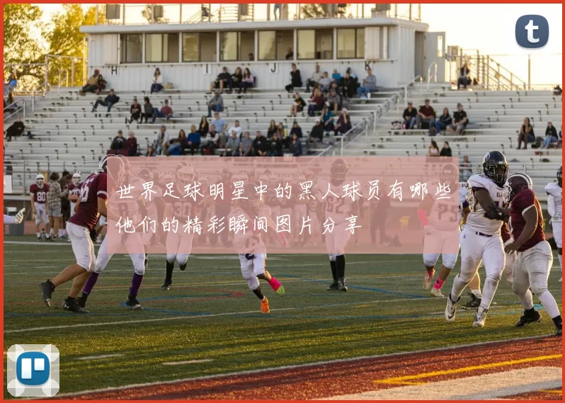 世界足球明星中的黑人球员有哪些他们的精彩瞬间图片分享