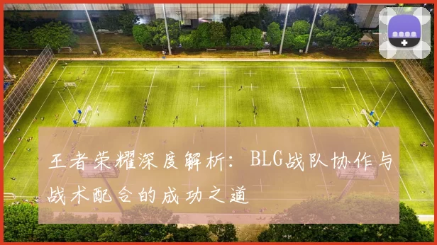 王者荣耀深度解析：BLG战队协作与战术配合的成功之道