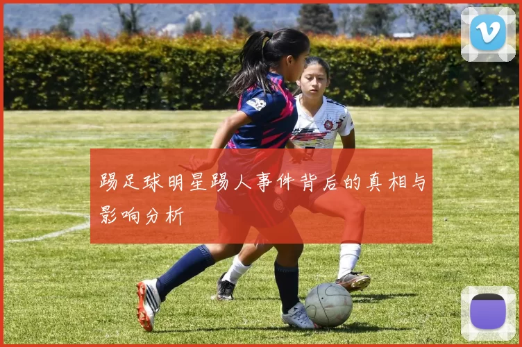 踢足球明星踢人事件背后的真相与影响分析