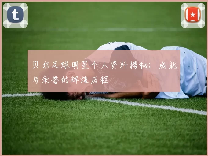 贝尔足球明星个人资料揭秘：成就与荣誉的辉煌历程