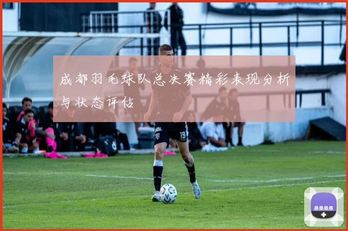 成都羽毛球队总决赛精彩表现分析与状态评估