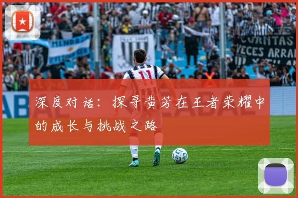 深度对话：探寻黄芳在王者荣耀中的成长与挑战之路
