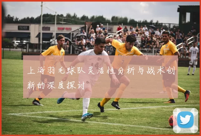 上海羽毛球队灵活性分析与战术创新的深度探讨