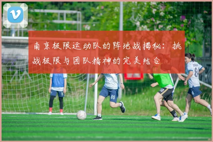 南京极限运动队的阵地战揭秘：挑战极限与团队精神的完美结合