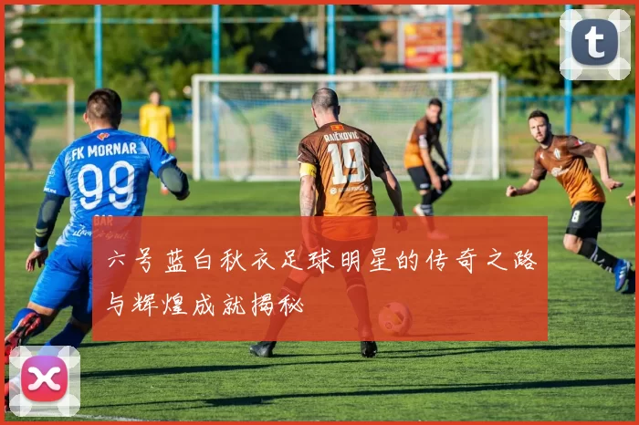 六号蓝白秋衣足球明星的传奇之路与辉煌成就揭秘