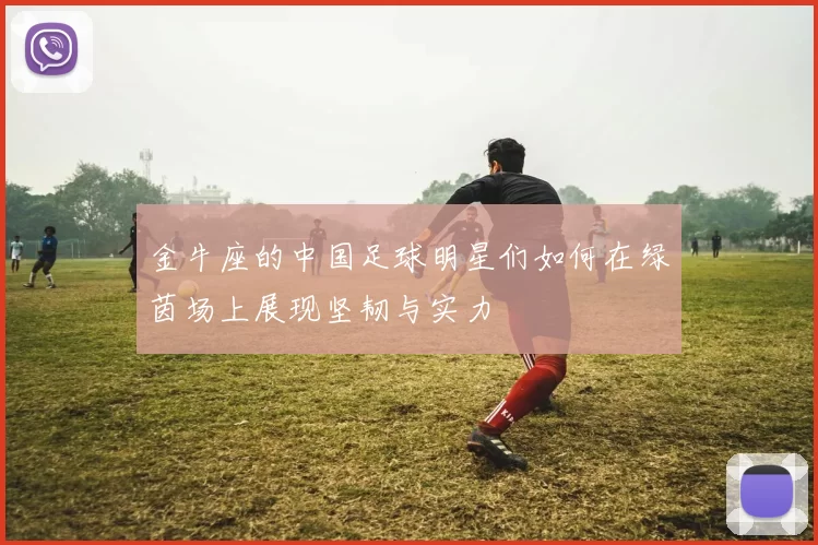 金牛座的中国足球明星们如何在绿茵场上展现坚韧与实力