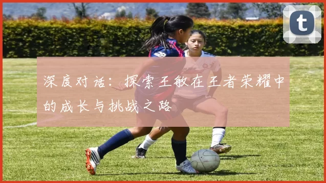 深度对话：探索王敏在王者荣耀中的成长与挑战之路