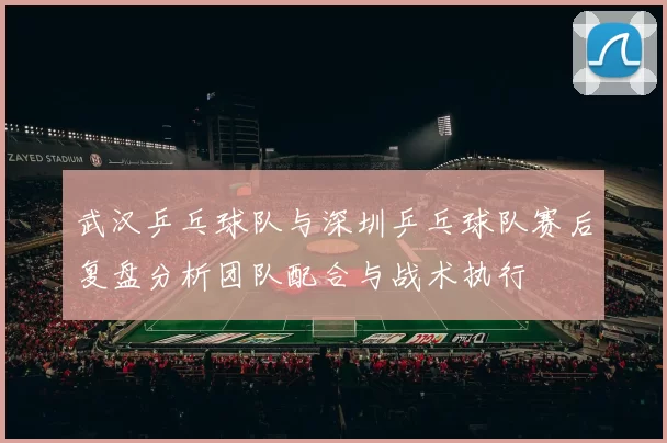 武汉乒乓球队与深圳乒乓球队赛后复盘分析团队配合与战术执行