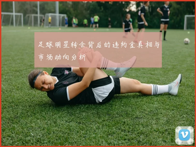 足球明星转会背后的违约金真相与市场动向分析