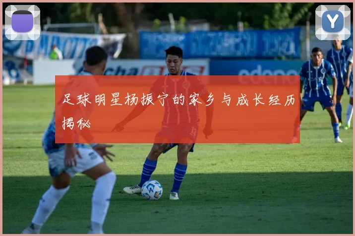 足球明星杨振宁的家乡与成长经历揭秘