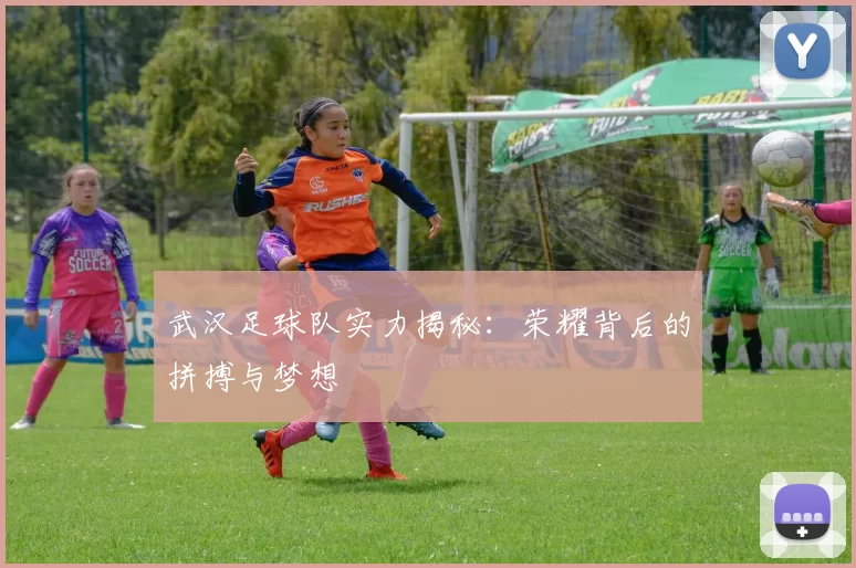 武汉足球队实力揭秘：荣耀背后的拼搏与梦想