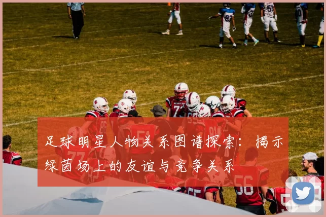 足球明星人物关系图谱探索：揭示绿茵场上的友谊与竞争关系