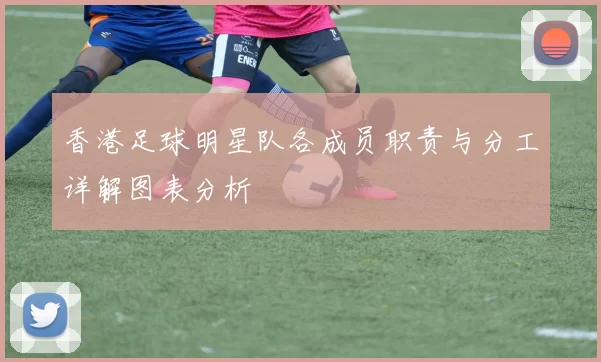 香港足球明星队各成员职责与分工详解图表分析