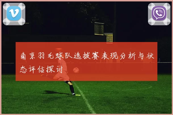 南京羽毛球队选拔赛表现分析与状态评估探讨