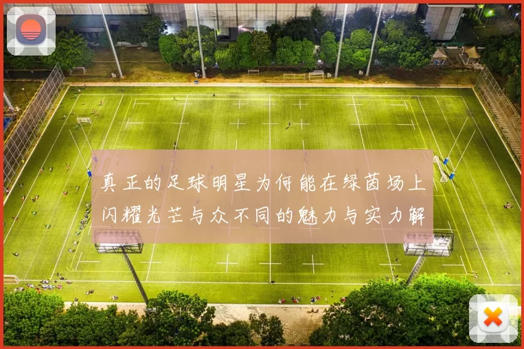 真正的足球明星为何能在绿茵场上闪耀光芒与众不同的魅力与实力解析